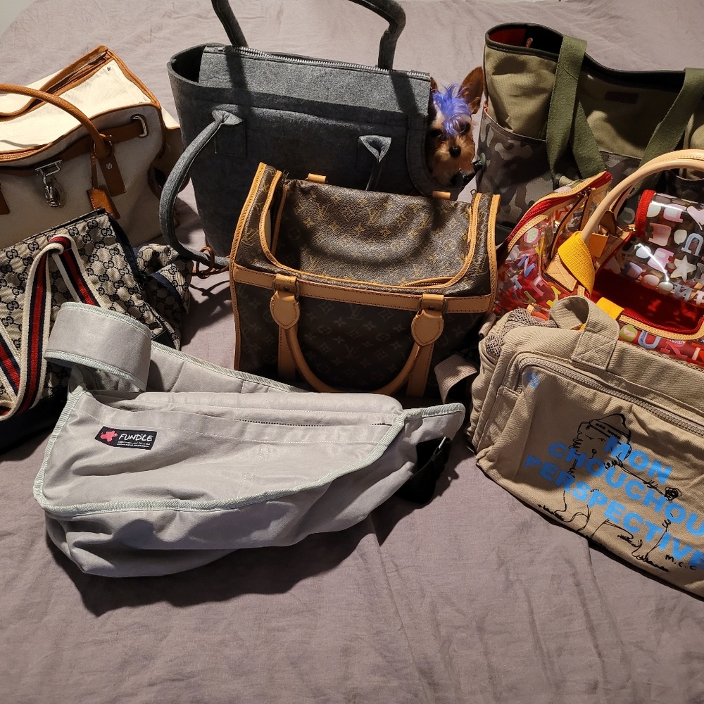 Small Dog Carrier Collector